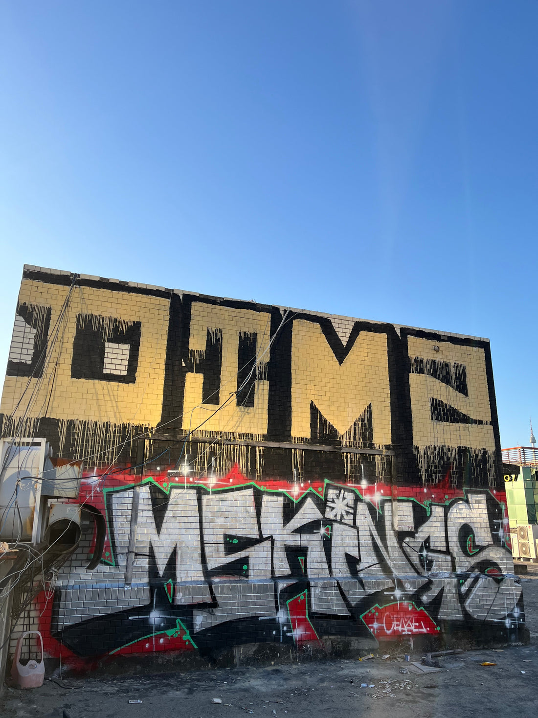 DIMZ MSK