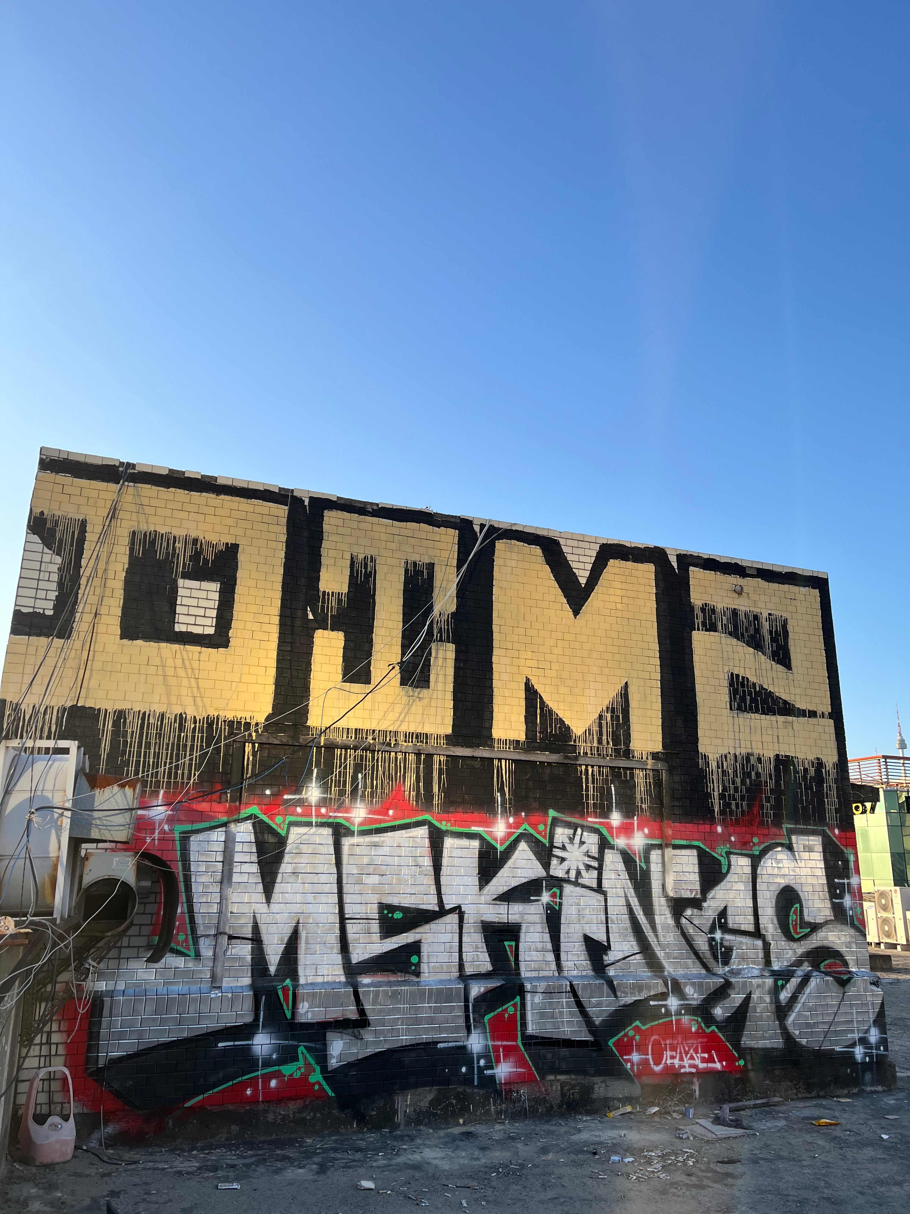 DIMZ MSK